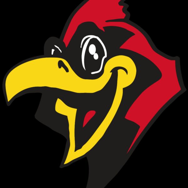 AR CARDINAL 36 RC Thumbnail